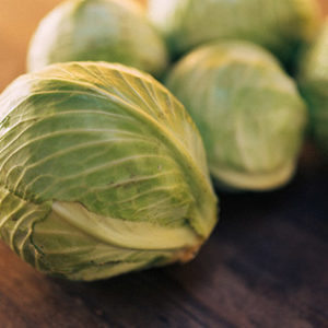 Weißkohl WirGarten Lüneburg eG