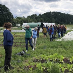 gartenfuehrung lueneburg wirgarten